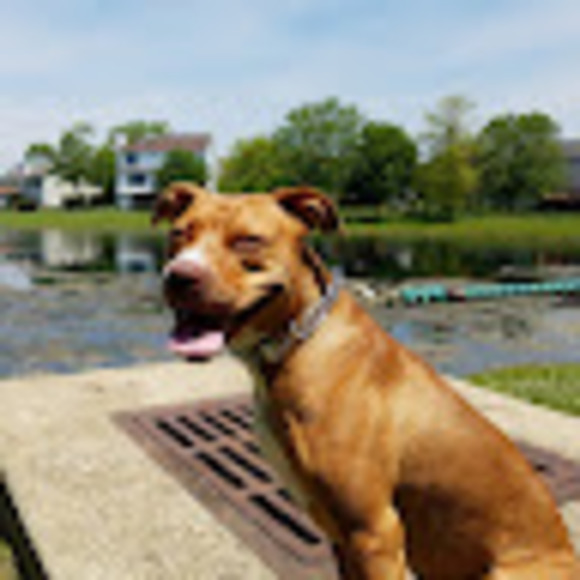 Meet your Posher, Jonathan - Picture 1 of 1